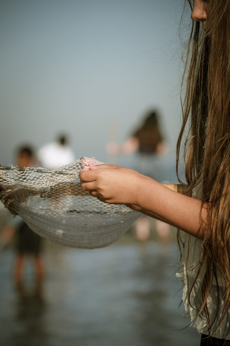 Noordzee XXL, Strand zee en duinen