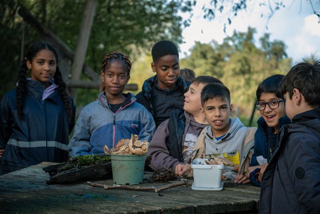 Natuur sluit de kloof tussen arm en rijk