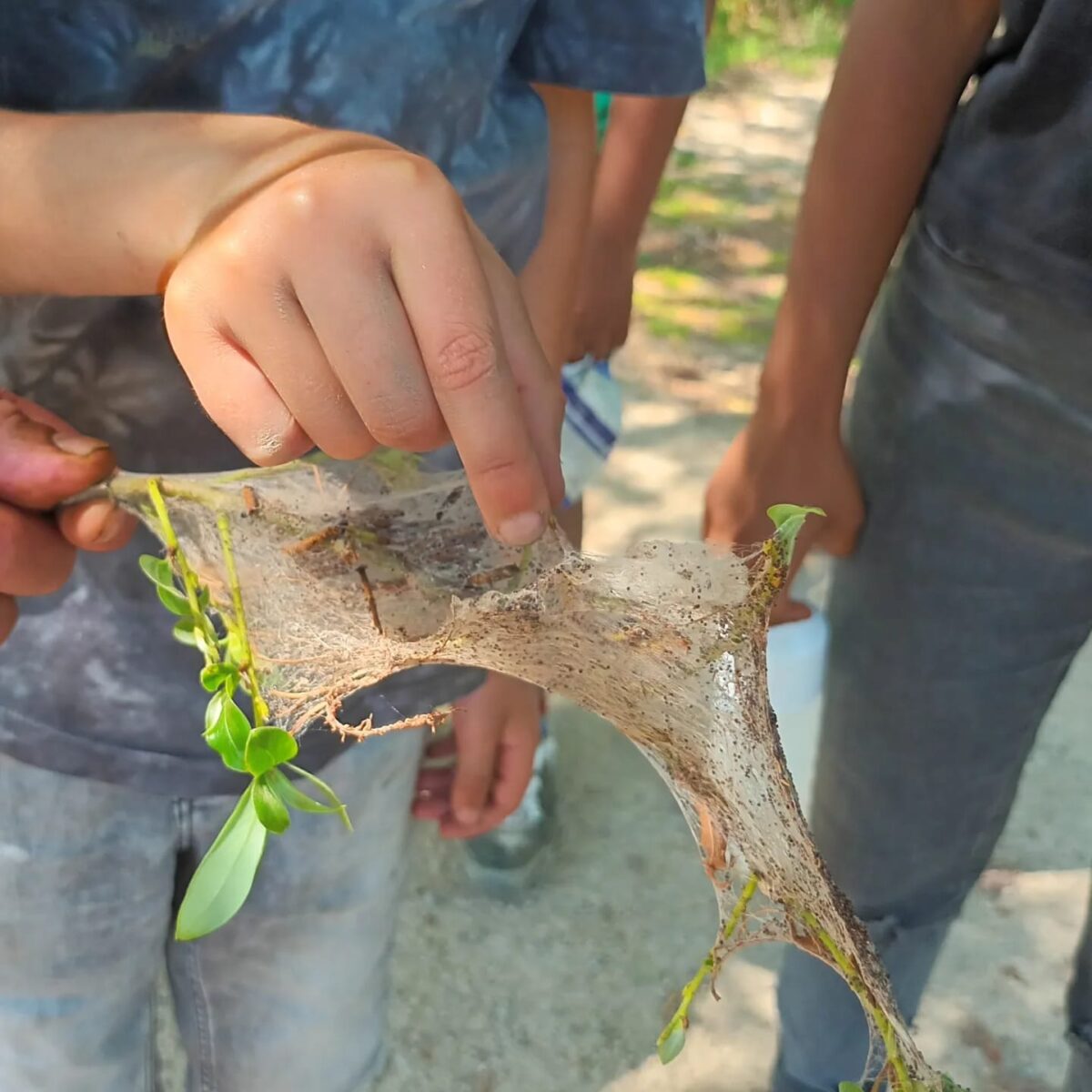 Stichting Lekker Groen zoekt een Penningmeester